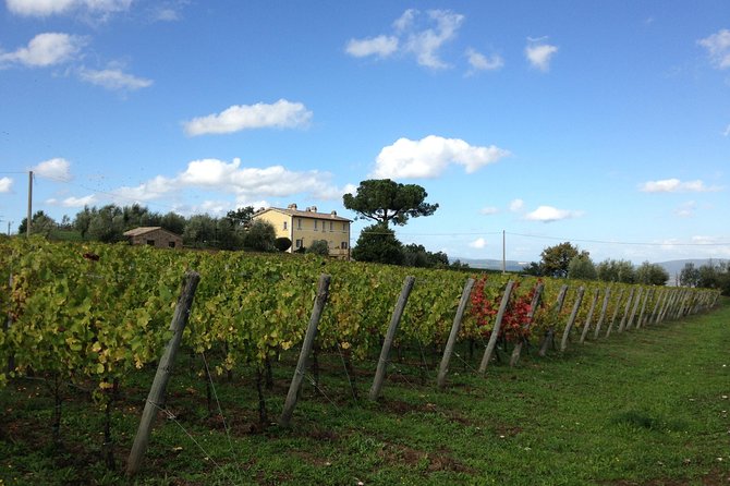 Winery Tour and Wine & Cheese Tasting