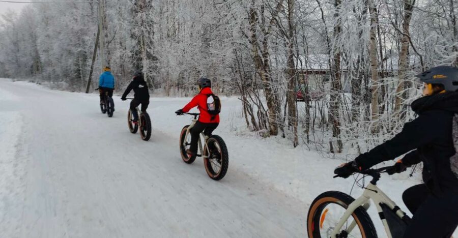 Winter Fatbiking in Ivalo