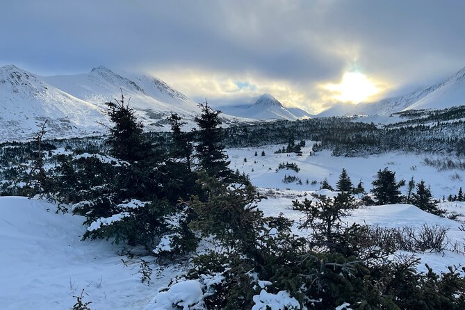 Winter Snowshoeing Adventure