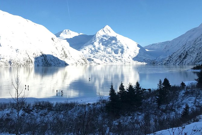 Winter – Wildlife & Turnagain Arm Tour