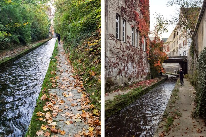 Winterthur Foxtrail Alban