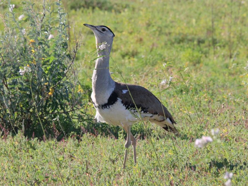 Winton: Bladensburg National Park Half Day Tour