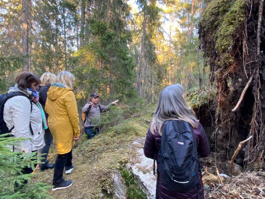 Wolf and Wildlife Tracking in Sweden
