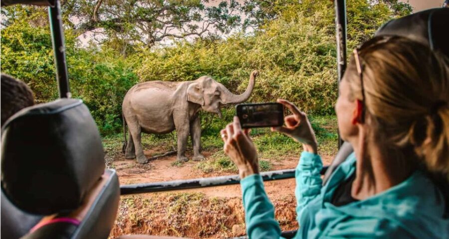 Yala Safari Tours: Yala Private Safari, All Inclusive - Tour Overview