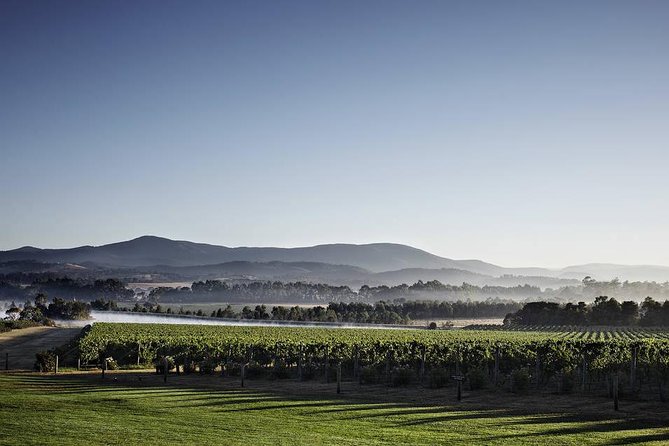 Yarra Valley Exceptional - Private Day Tour - for 2 - With Lunch - Inclusions