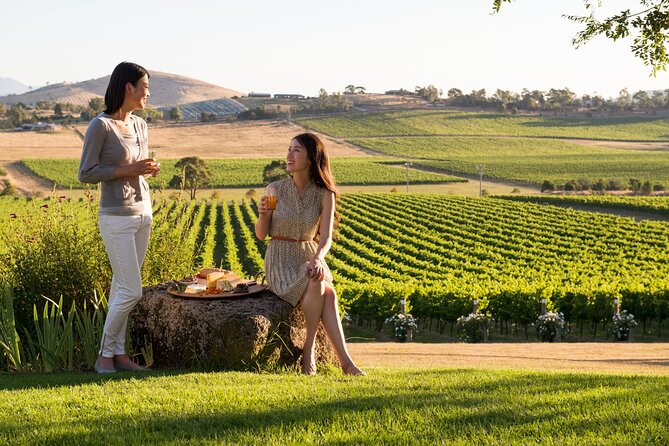 Yarra Valley Wineries Private Day Tour