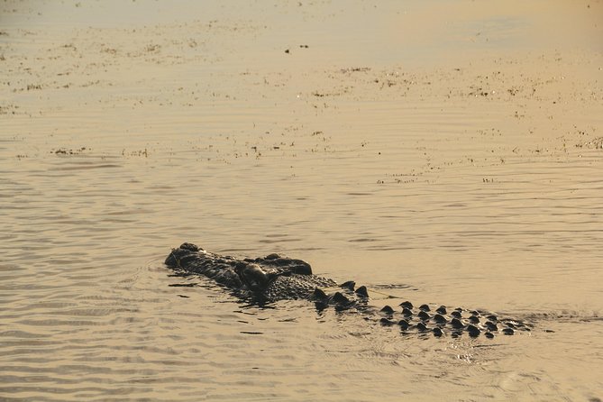 Yellow Water Cruise - Kakadu - Exploring Kakadus Wetland Gem