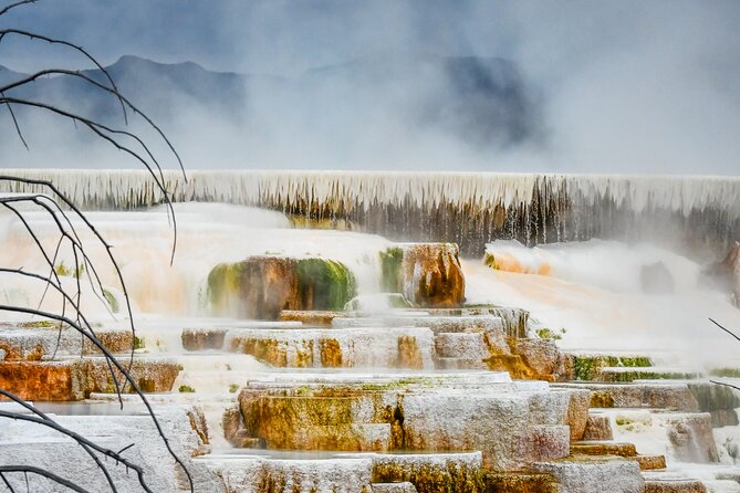 Yellowstone & Grand Teton National Parks Private Winter Tour 5-Day - Tour Overview and Experience