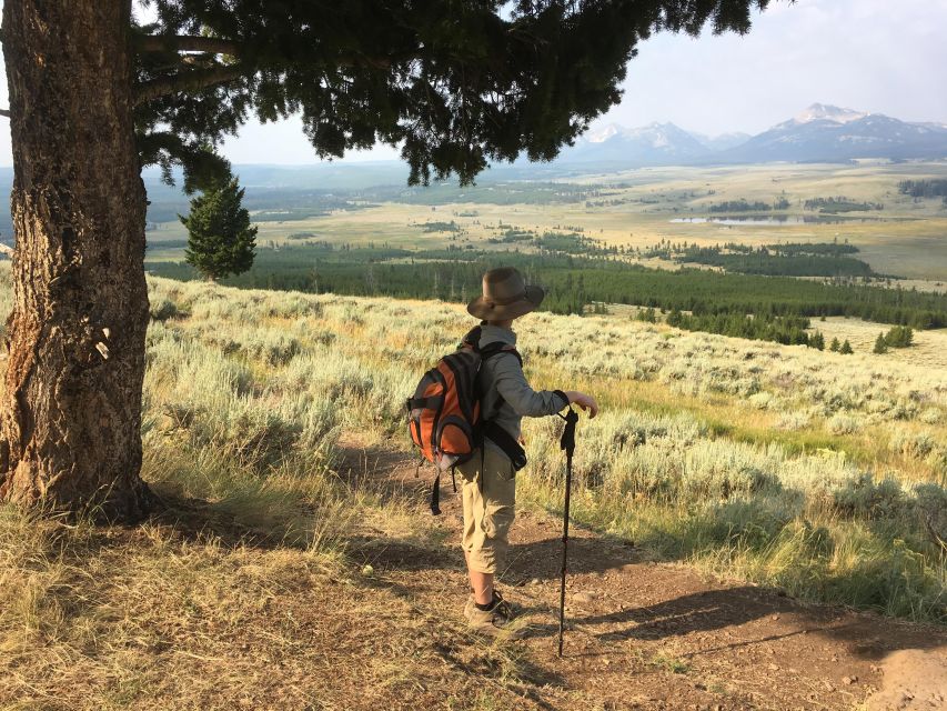 Yellowstone Small-Group Tour From Paradise Valley & Gardiner