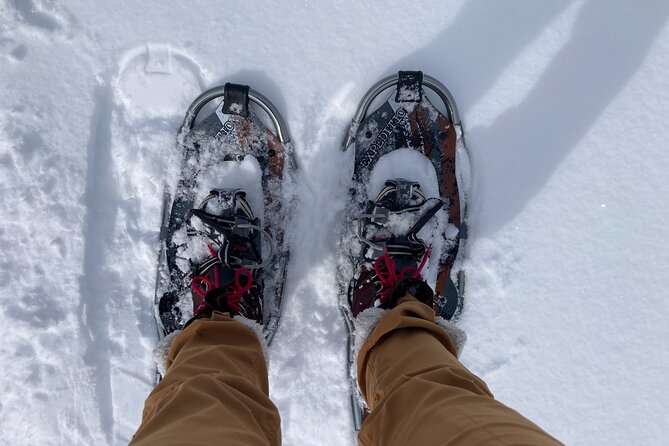 Yellowstone Snowshoe Adventure - Private Tour From Jackson Hole - Tour Overview