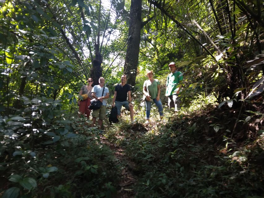 Yogyakarta Countryside Walking Tour and Prambanan Temple - Tour Overview and Pricing