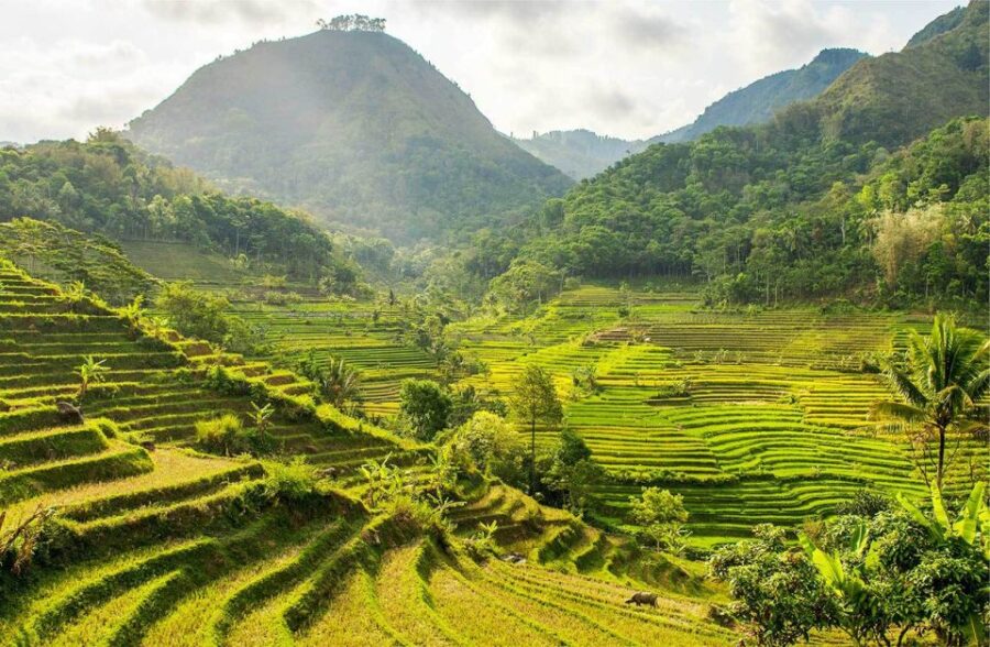 Yogyakarta: Private Customizable Guided Tour