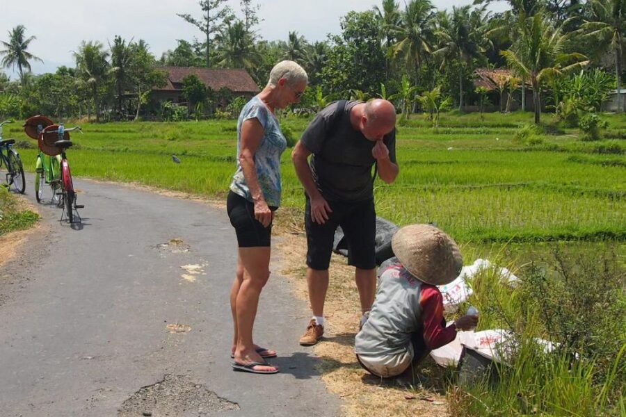 Yogyakarta: Village Cycling Tour Feel Real Local Atmosphere