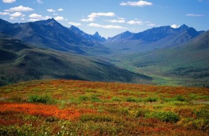 Yukon Aurora Viewing Package | 4 Days
