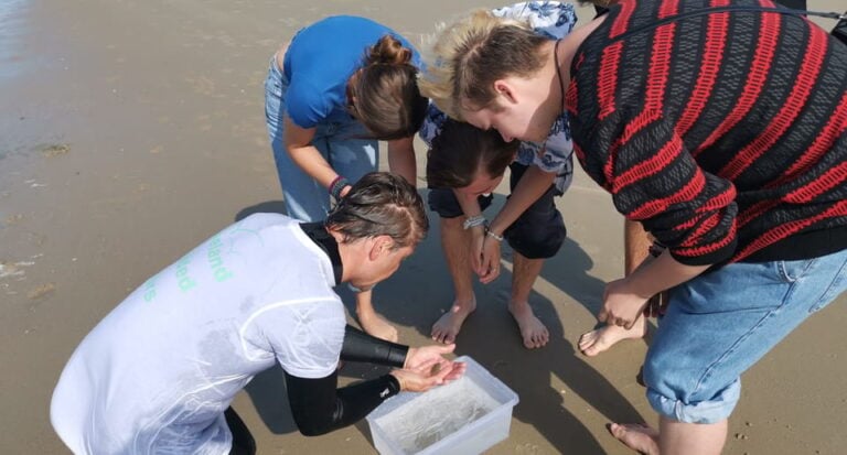 Zeeland Strand Safari Met Visnet Nl/En/De Private Tour