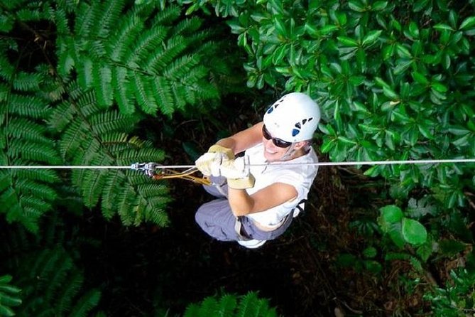 Zip Line Ex Intercontinental Fiji With Return Private Transfers