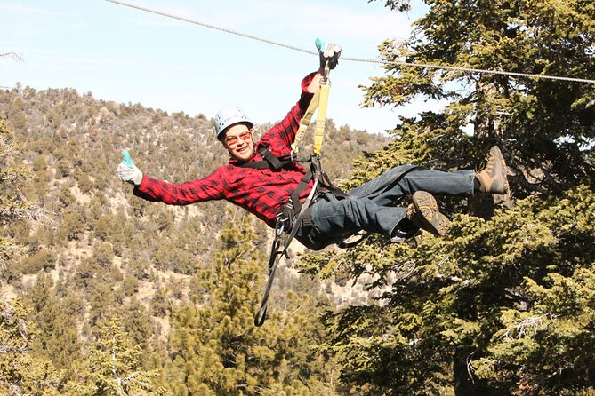 Zipline Tour – 9 High-Speed Ziplines & Fun Suspension Bridge