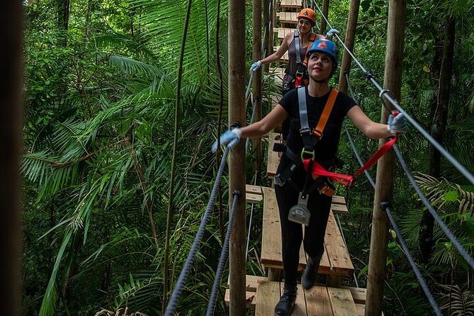 Ziplining Cape Tribulation With Treetops Adventures