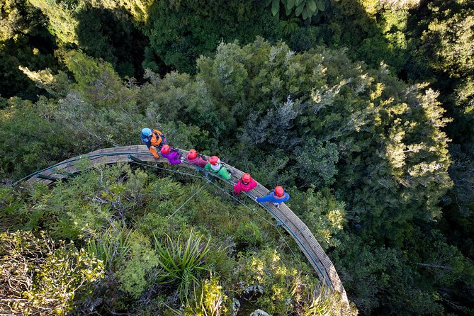 Ziplining Forest Experience – The Ultimate Canopy Tour Rotorua