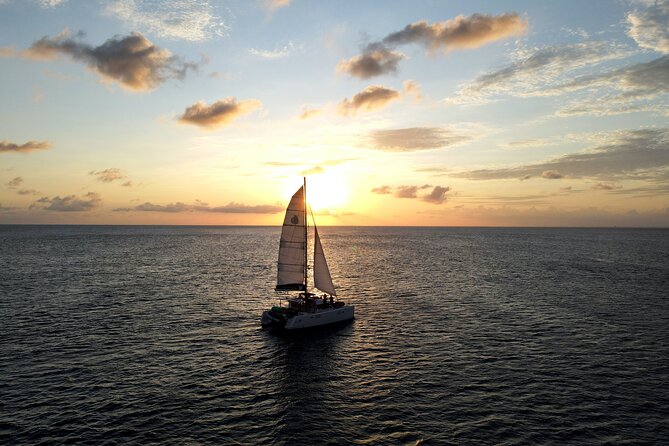Zodiac RIB Pro Explorer Private Charter 4hr – EL CIELO SANDBAR