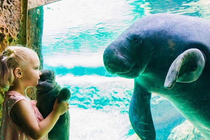 ZooTampa at Lowry Park Admission Ticket - Diverse Animal Habitats