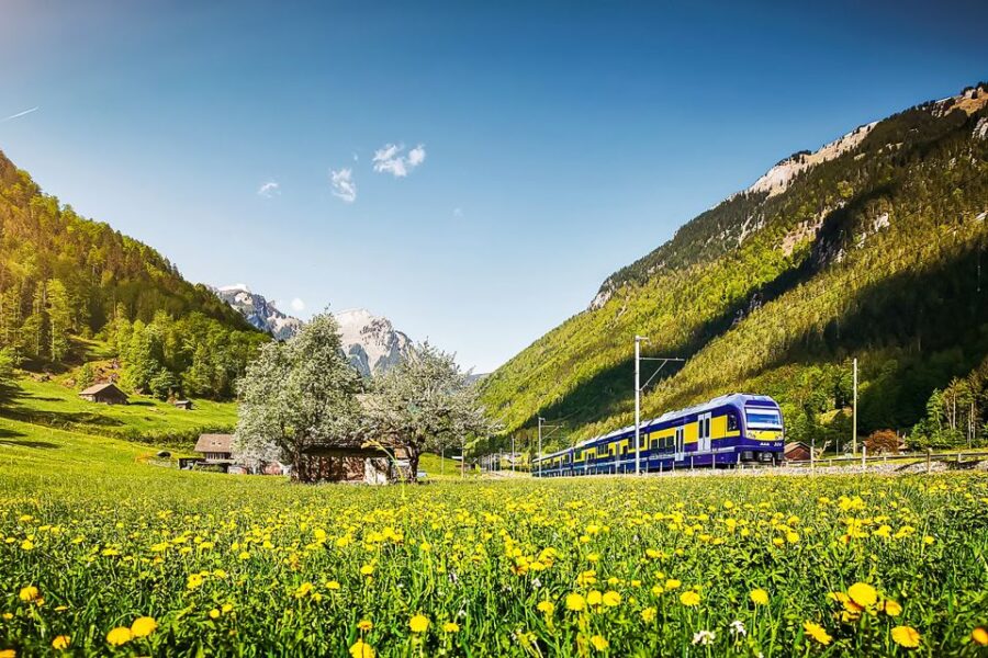 Zurich: Day Trip to Grindelwald & Interlaken by Bus & Train - Tour Description