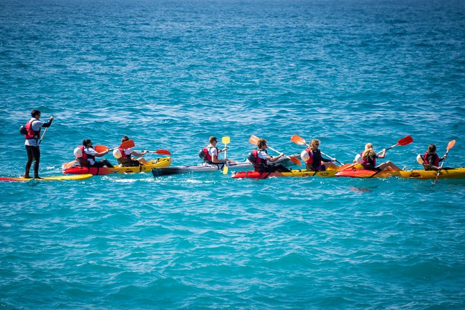 2 Hours Kayak Tour in Cerro Gordo Natural Park, La Herradura - Key Points
