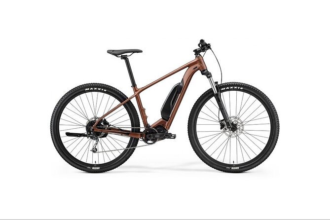 Electric Mountain Bike Hire on Queenstown Trail