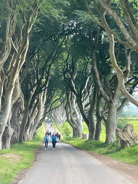 Giants Causeway & Whiskey Tour TICKETS INCLUDED - Scenic Locations