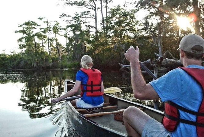Kayak Swamp Tour With Transportation From New Orleans