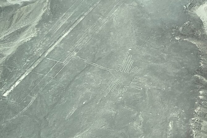 Nazca Lines + Cantalloc Aqueducts Tour - Schedule and Availability