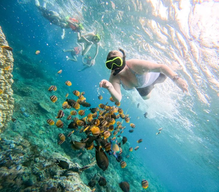 Snorkeling Nusapenida - Best Part Swim With the Mantarays🤙 - Pricing and Booking