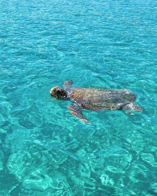 ZAKYNTHOS: Boat Rentals Without Captain ⭐️ - Activity Description
