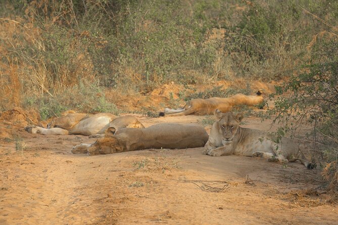 3 Day Murchison Falls (Midrange Trip - 2 People Minimum Required)