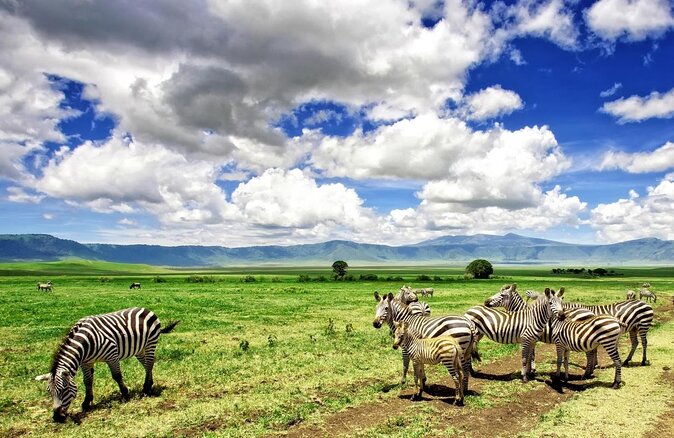 3 Days Serengati and Ngorongoro Crate Group Tour