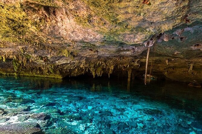 Full Day Adventure: Horses , Atv, Ziplines & Cenote W/Lunch - Health and Safety