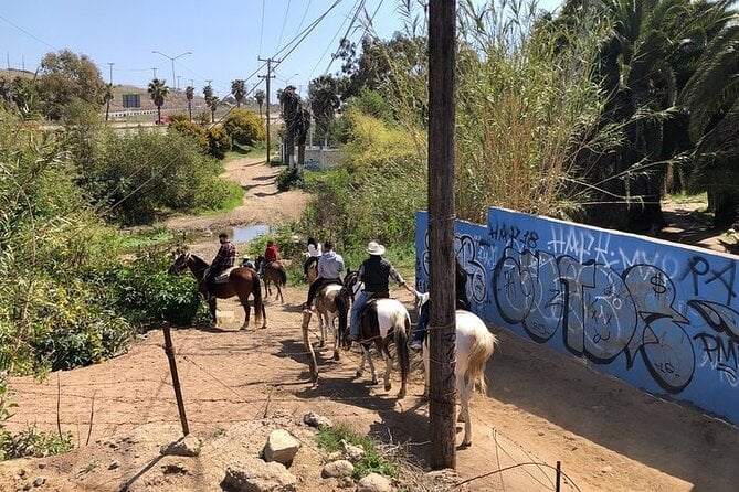 Horseback Riding Rosarito Beaches & Puerto Nuevo Lobster - Reviews and Ratings