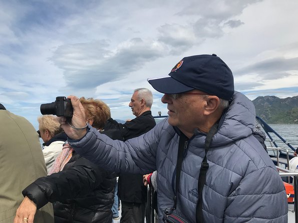 Kaikoura Day Trip - Whales Encounter