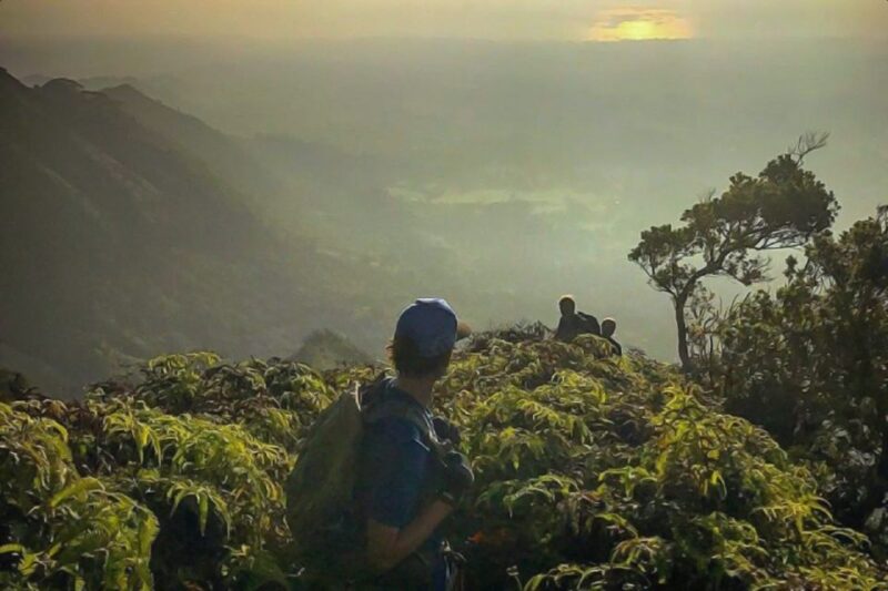 Kauai: Waimea Canyon & Kokeʻe State Park Private Tour - Journey Details