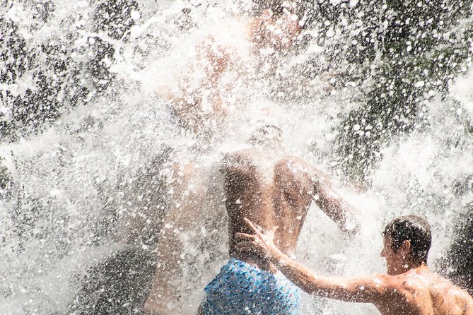 Nauyaca Waterfall Tour