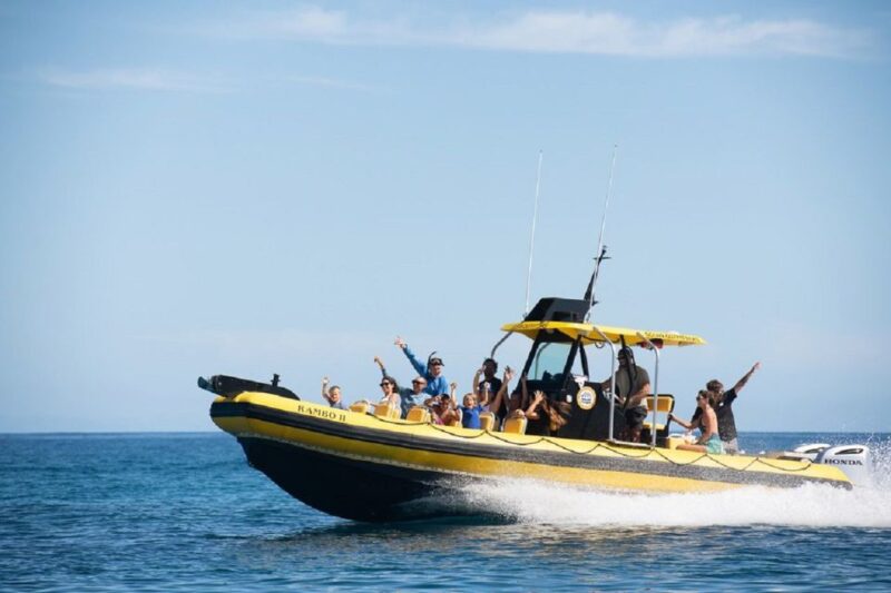 Oahu: North Shore Haleʻiwa: Private Boat Charter - Inclusions