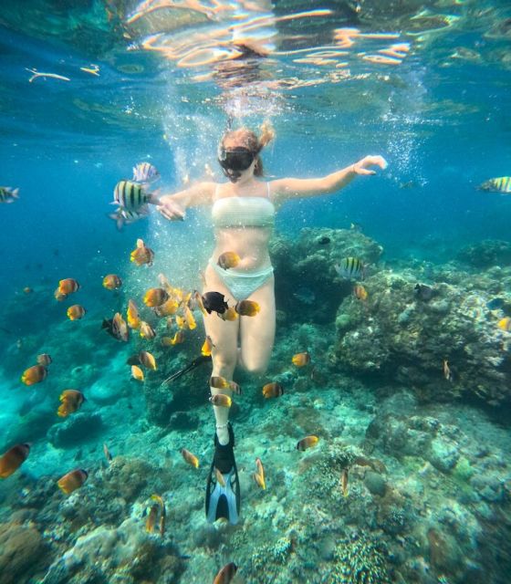 Snorkeling Nusapenida - Best Part Swim With the Mantarays🤙 - Inclusions and Equipment