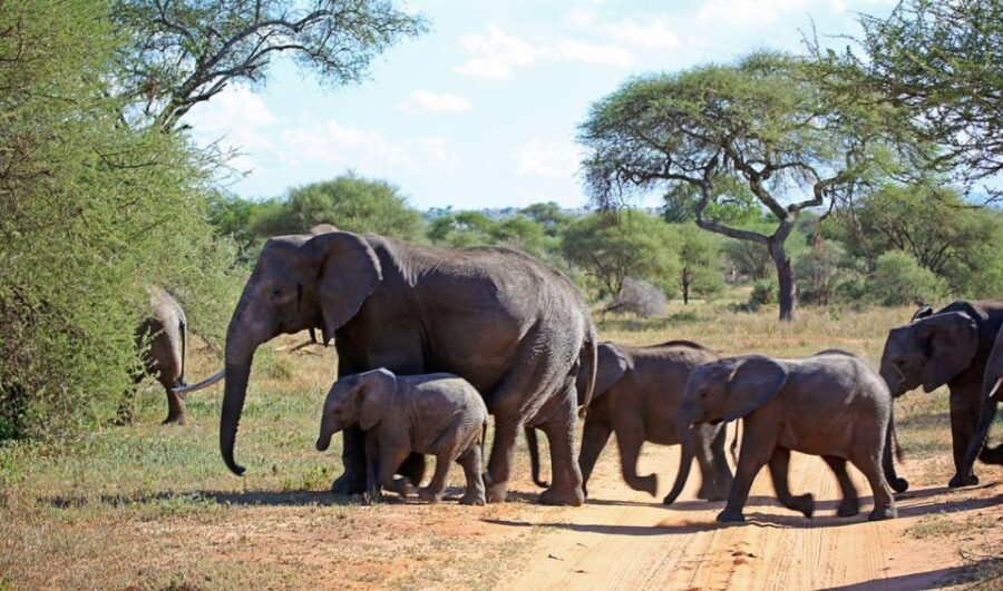4 Day Drakensberg Tour From Johannesburg