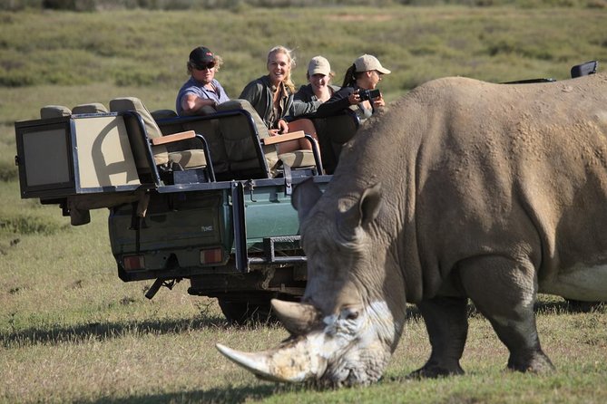 4-Day Garden Route Tours From Cape Town With Game Drive