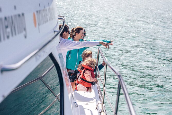 Akaroa Dolphins 〜 Harbour Nature Cruise - Getting to Akaroa