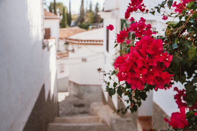 Albaicinʼ & Sacromonte Walking Tour - Flamenco Heritage in Sacromonte