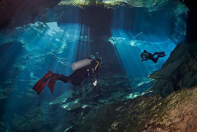 Cenotes Diving - Booking and Reviews