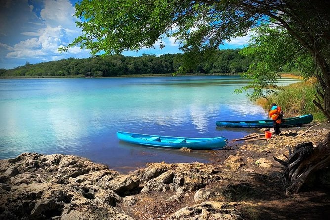 Coba & Monkey Sanctuary Punta Laguna Private Tour - Health and Safety Guidelines