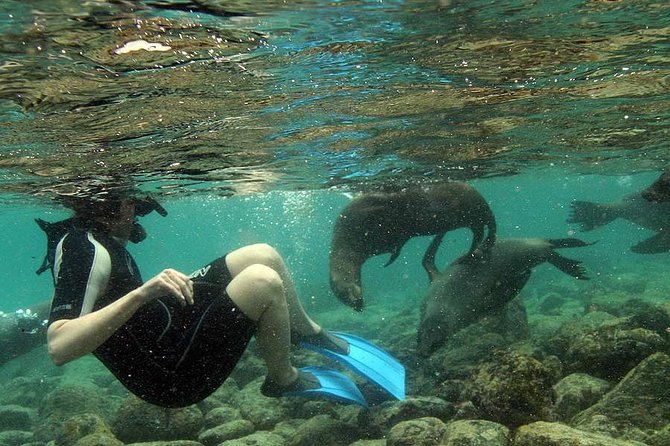 Full-Day Snorkeling Rental Package