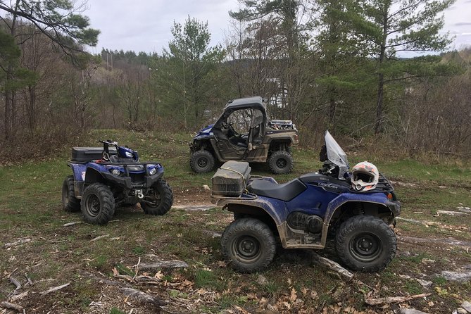 2 Best Quad Bike And ATV Tours In Ontario